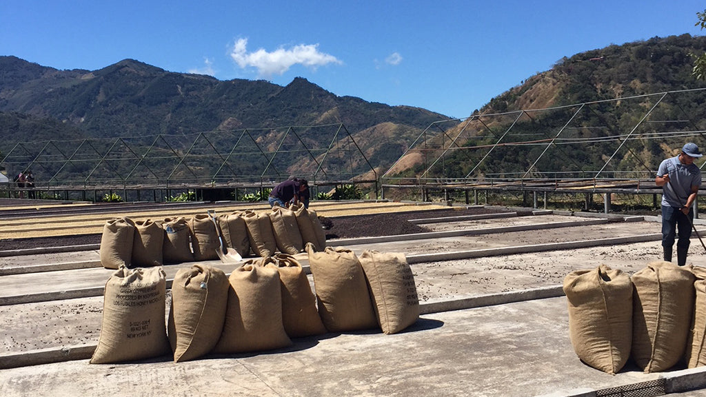 DÉCOUVREZ MON SAVOUREUX VOYAGE AU COSTA RICA