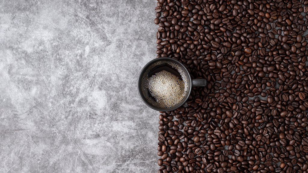 Des caféiers hybrides pour sauver l'avenir du café