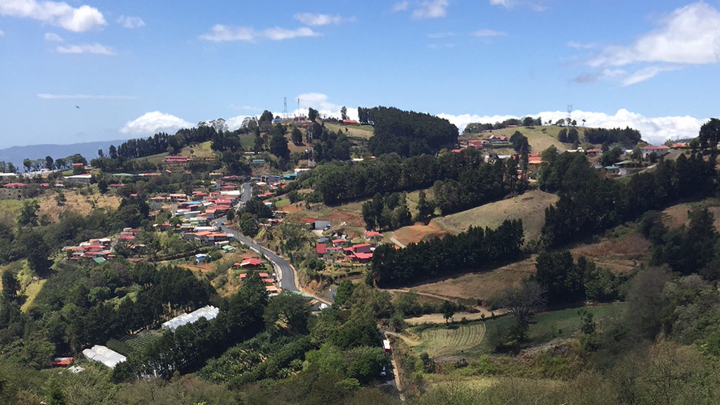 Les femmes et le café