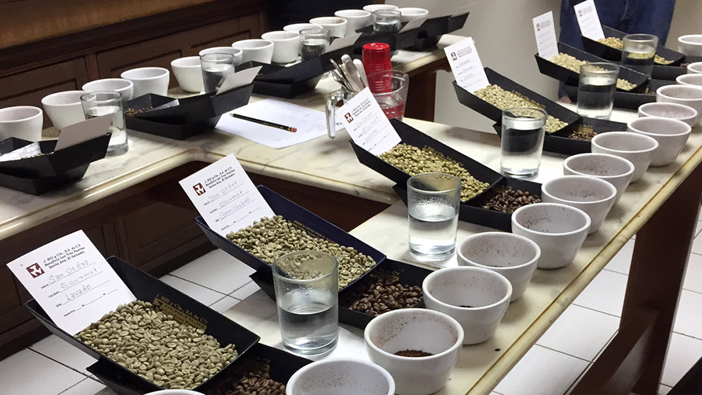 DÉCOUVREZ LA MEILLEURE OPTION ENTRE CAFÉ D’ORIGINE ET MÉLANGE