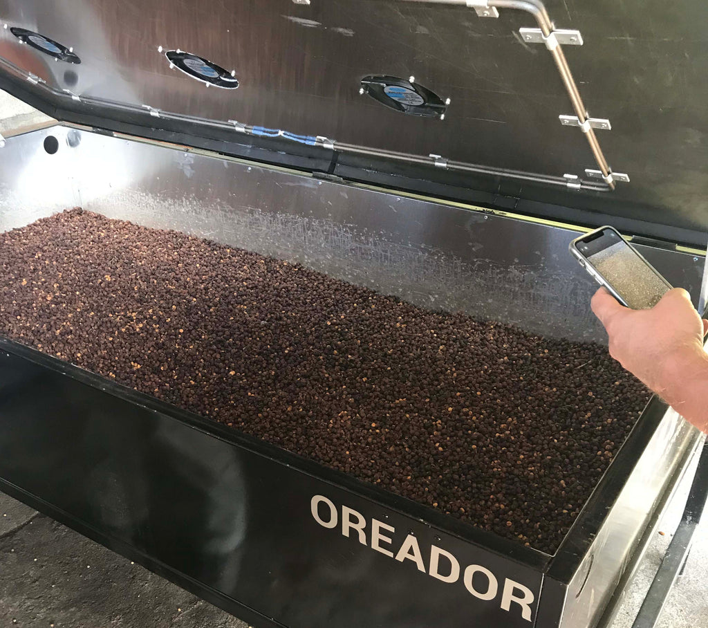 Visite d’une ferme de café à Salgar en Colombie