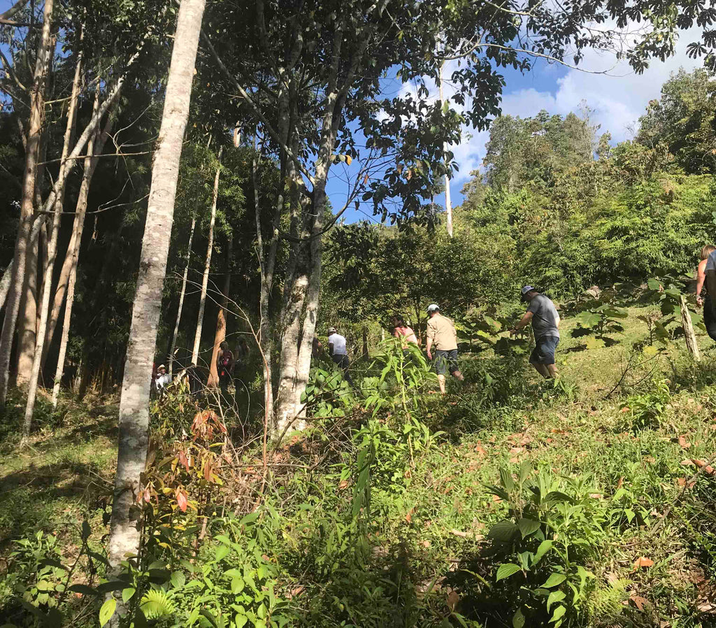 Coup de cœur colombien : la région d’Urrao